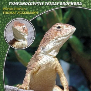 LITERATURA Australijskie agamy głuche Tympanocryptis tetraporophora (Peter Fritz & Thomas Ackermann)