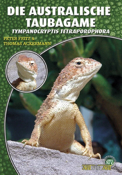 LITERATURA Australijskie agamy głuche Tympanocryptis tetraporophora (Peter Fritz & Thomas Ackermann)