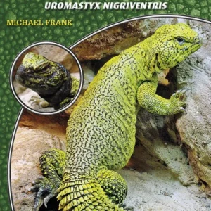 LITERATURA Biczogon marokański Uromastyx nigriventris (Michael Frank)