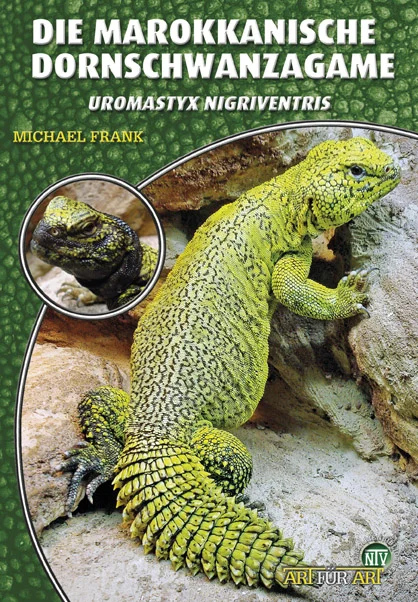 LITERATURA Biczogon marokański Uromastyx nigriventris (Michael Frank)