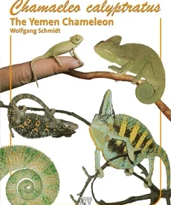 LITERATURA Kameleon jemeński Chamaeleo calyptratus (Wolfgang Schmidt)