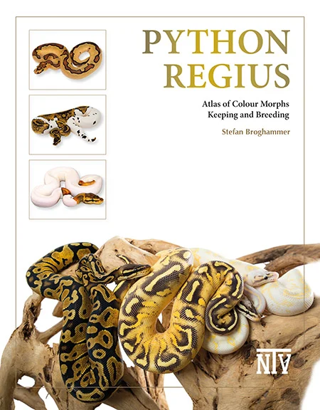 LITERATURA Python regius – Atlas form barwnych (Stefan Broghammer) EN