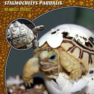 LITERATURA Żółw lamparci Stigmochelys pardalis (Mario Herz)