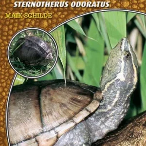LITERATURA Żółw wonny Sternotherus odoratus (Maik Schilde)