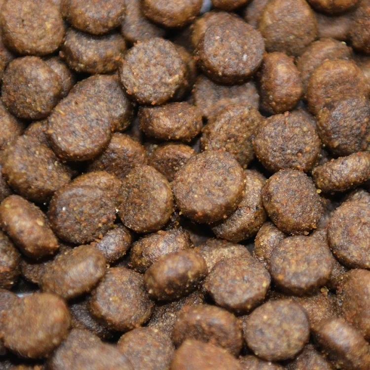 Łosoś z pstrągiem małe rasy 100 g próbka