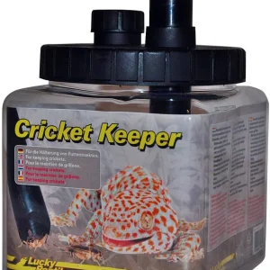 LUCKY REPTILE Cricket Keeper – pudełko na świerszcze