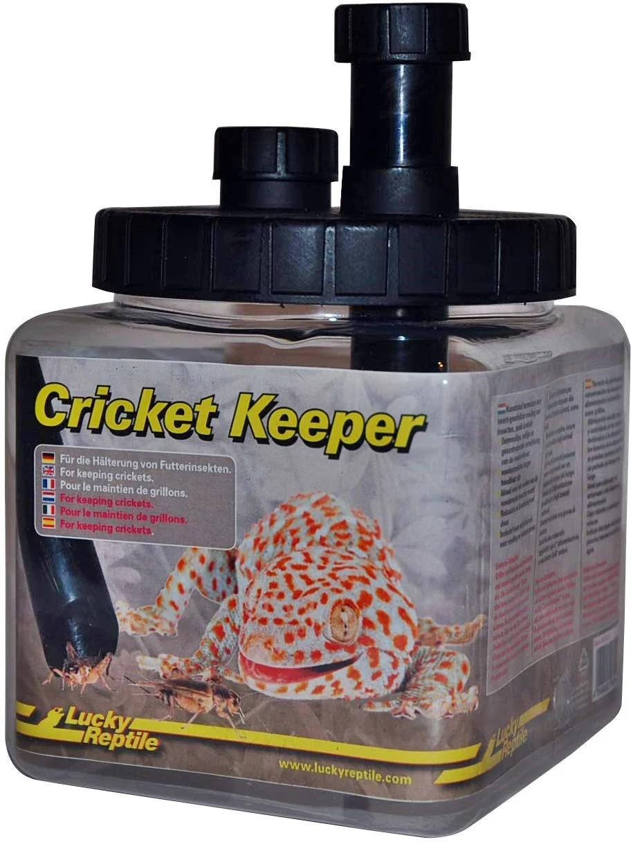 LUCKY REPTILE Cricket Keeper – pudełko na świerszcze
