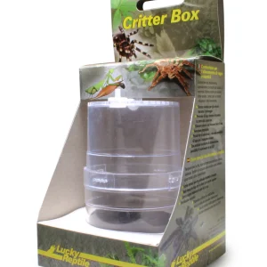 LUCKY REPTILE Critter Box Pojemnik dla modliszki ptasznika skakuna 6x11cm