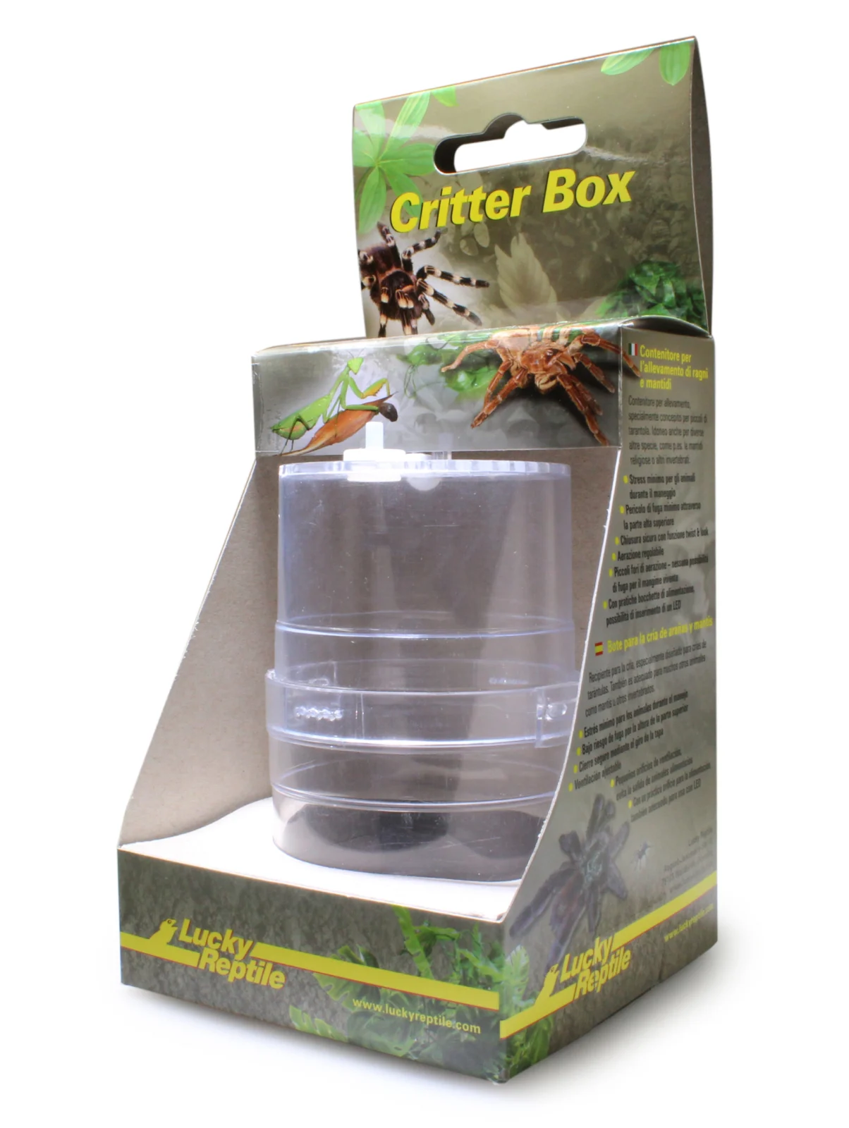 LUCKY REPTILE Critter Box Pojemnik dla modliszki ptasznika skakuna 6x11cm
