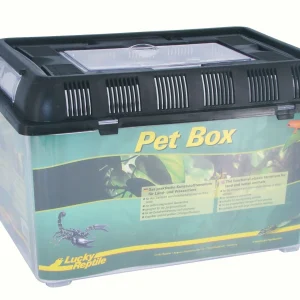LUCKY REPTILE Faunarium PET BOX 32,5x22x21 cm