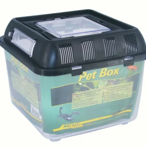 LUCKY REPTILE Faunarium PET BOX Quadra 20x20x17 cm
