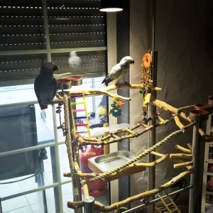 LUCKY REPTILE HID Metahalogen BrightSun Bird 70 W + balast stały