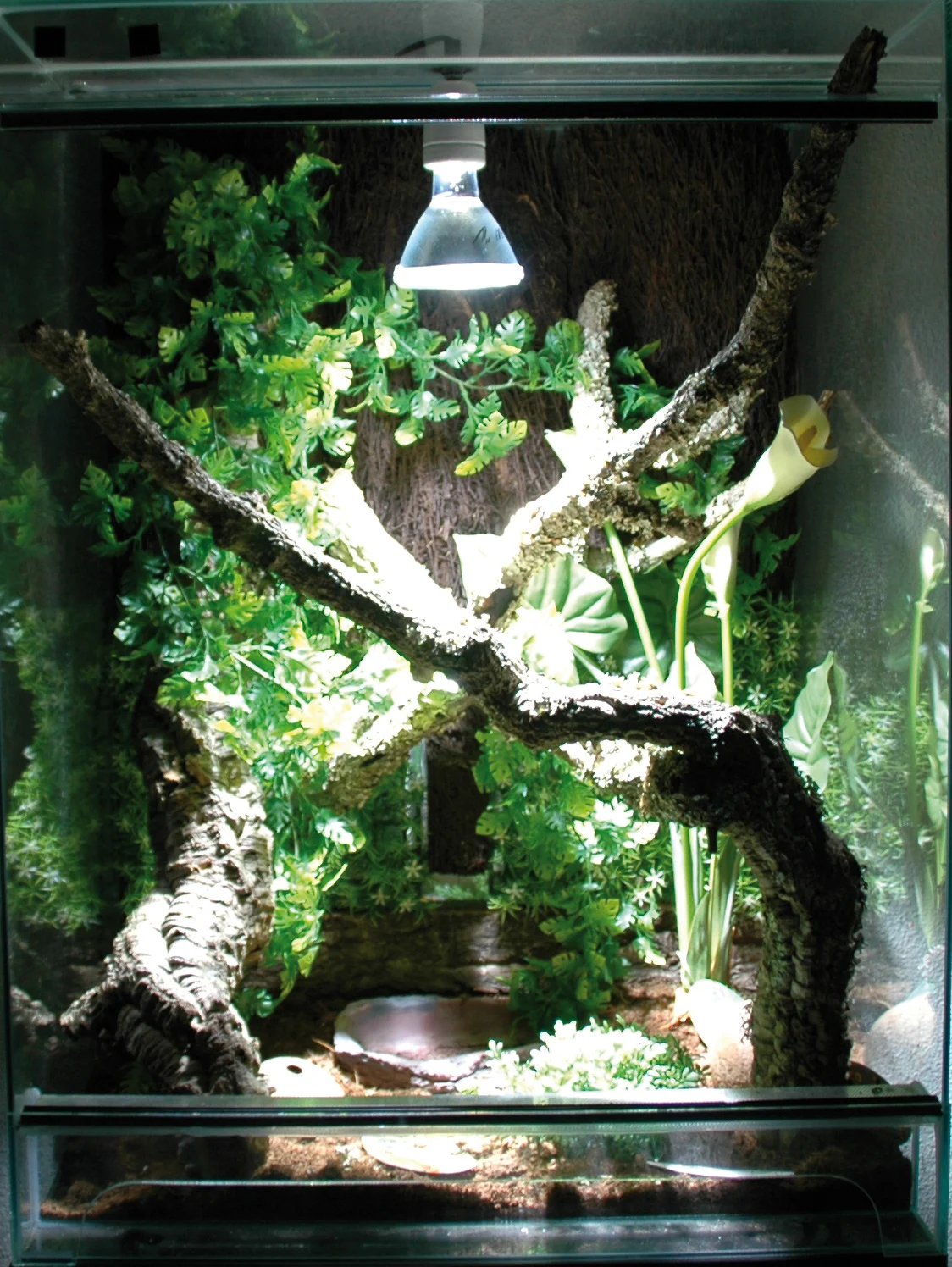 LUCKY REPTILE HID Metahalogen BrightSun Desert 100W (par 30) + balast stały - Image 2