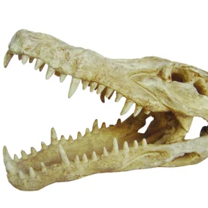 LUCKY REPTILE kryjówka czaszka krokodyla 22,5x11x15,2 cm XL!