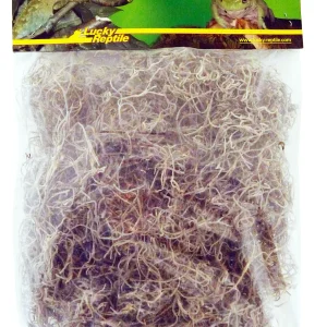 LUCKY REPTILE Mech hiszpański suszony (50g)