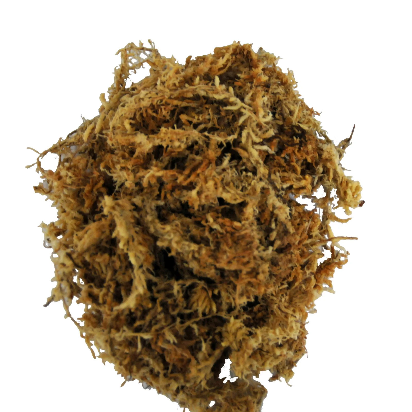 LUCKY REPTILE Mech torfowiec Sphagnum brykiet 100 g/5L (Nowa Zelandia) - Image 2