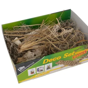 LUCKY REPTILE Nature Deco Set Desert – zestaw dekoracji pustynnych