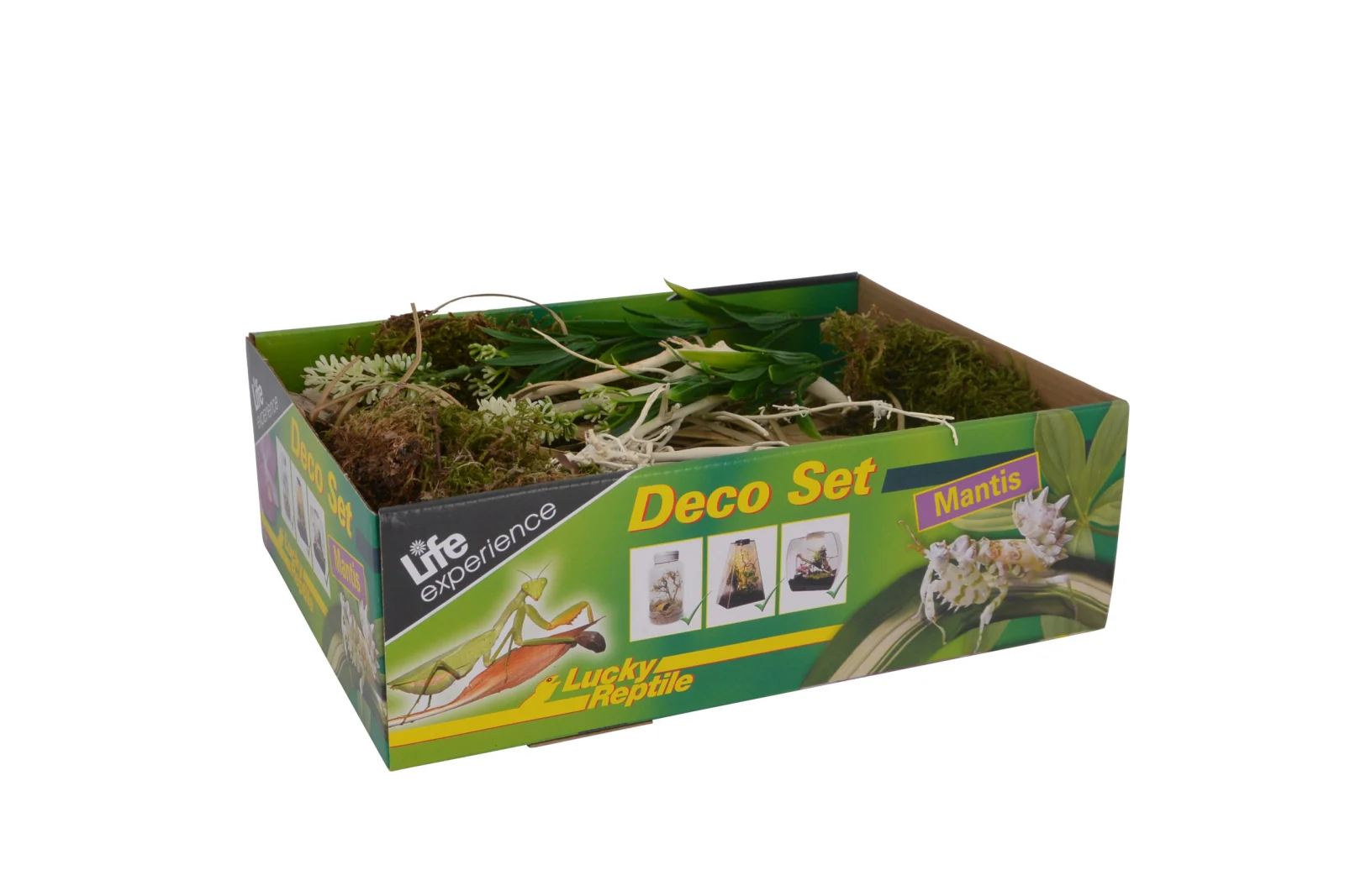 LUCKY REPTILE Nature Deco Set Mantis – zestaw dekoracji dla bezkręgowców - Image 2