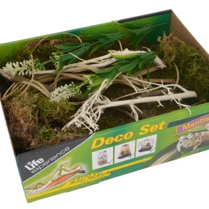 LUCKY REPTILE Nature Deco Set Mantis – zestaw dekoracji dla bezkręgowców