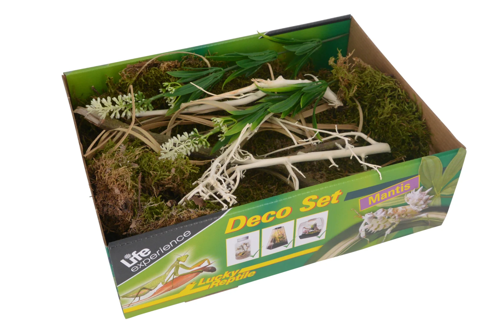 LUCKY REPTILE Nature Deco Set Mantis – zestaw dekoracji dla bezkręgowców
