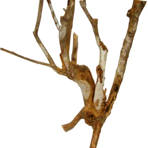 LUCKY REPTILE Nature krzew sawanna M (ca 40 cm)
