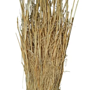 LUCKY REPTILE Nature szuszona kępa trawy (25-40 cm)