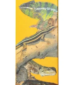 LUCKY REPTILE Świetlówka 24W UV Sun T5, 6500K – górskie i nadrzewne