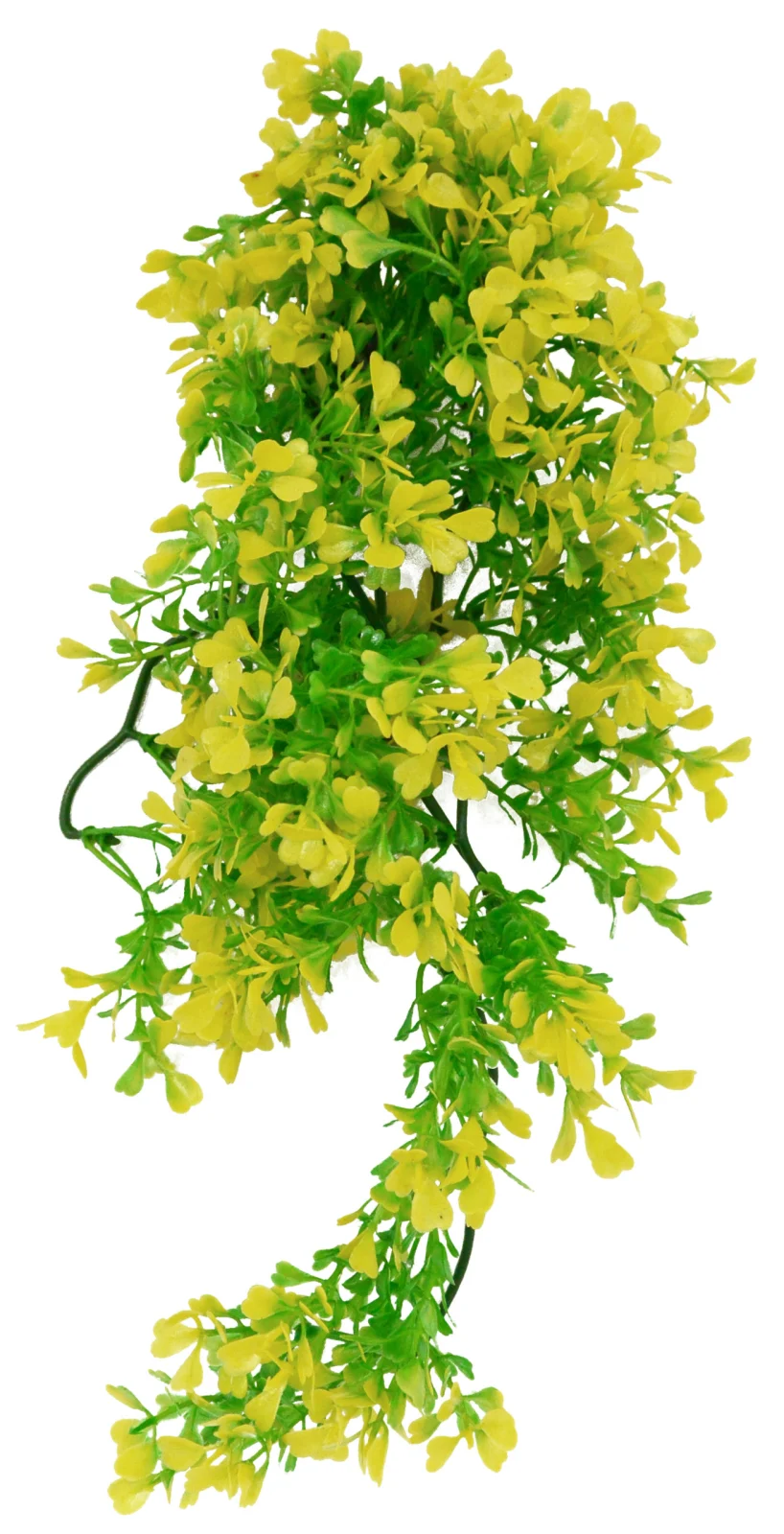 LUCKY REPTILE Sztuczna roślina wodna Bacopa żółta (40 cm)