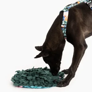 Mata w臋chowa - zabawka nosework 3 w 1