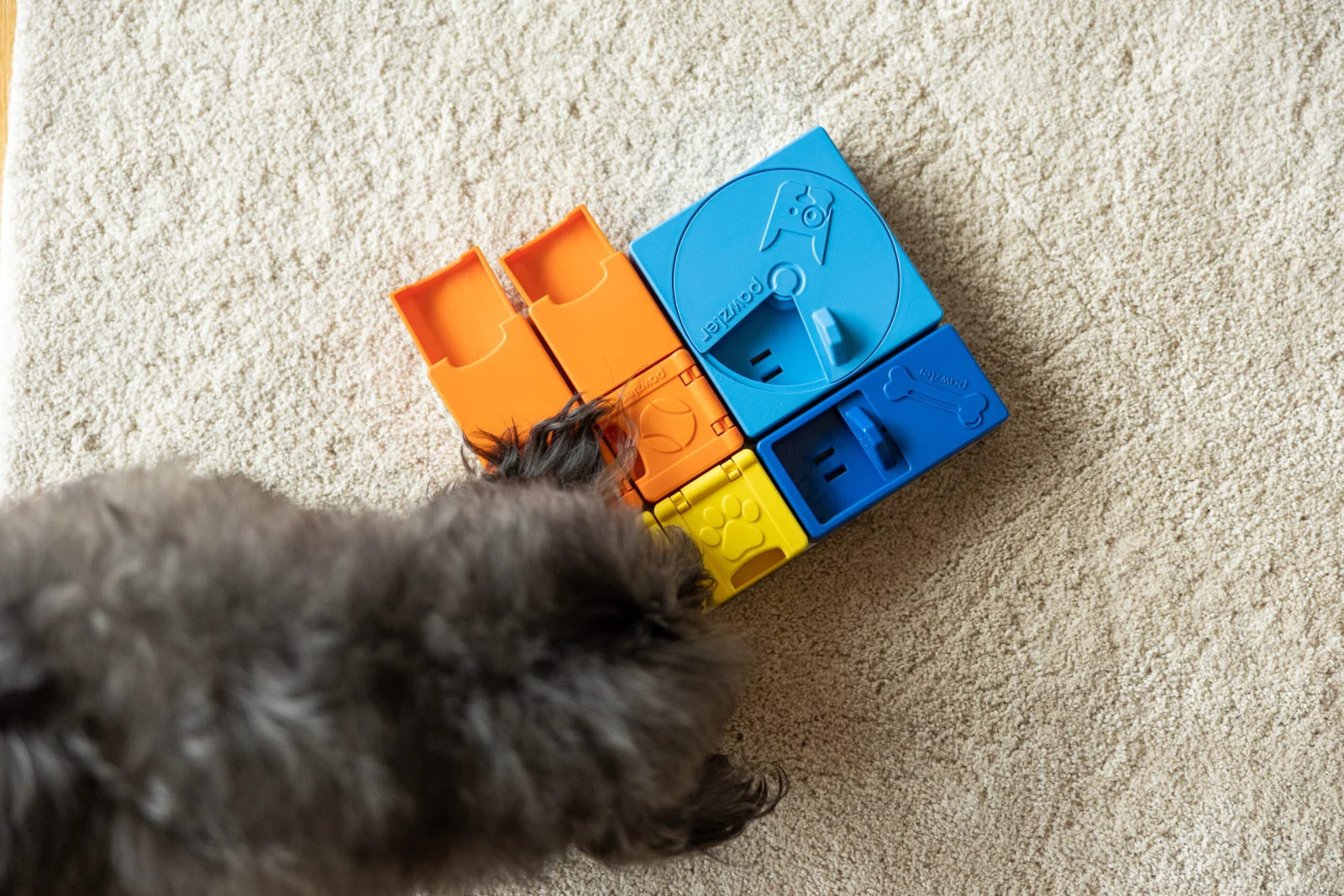 Modułowa Zabawka Edukacyjna dla Psa Pawzler Interactive Dog Puzzle Rainbow Set - Image 2