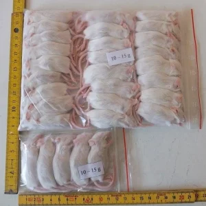 Mysz mrożona 11-15g
