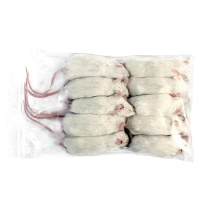 Mysz mrożona XXL – 31g+