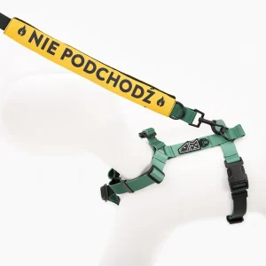 Nak艂adka na smycz "NIE PODCHOD殴"