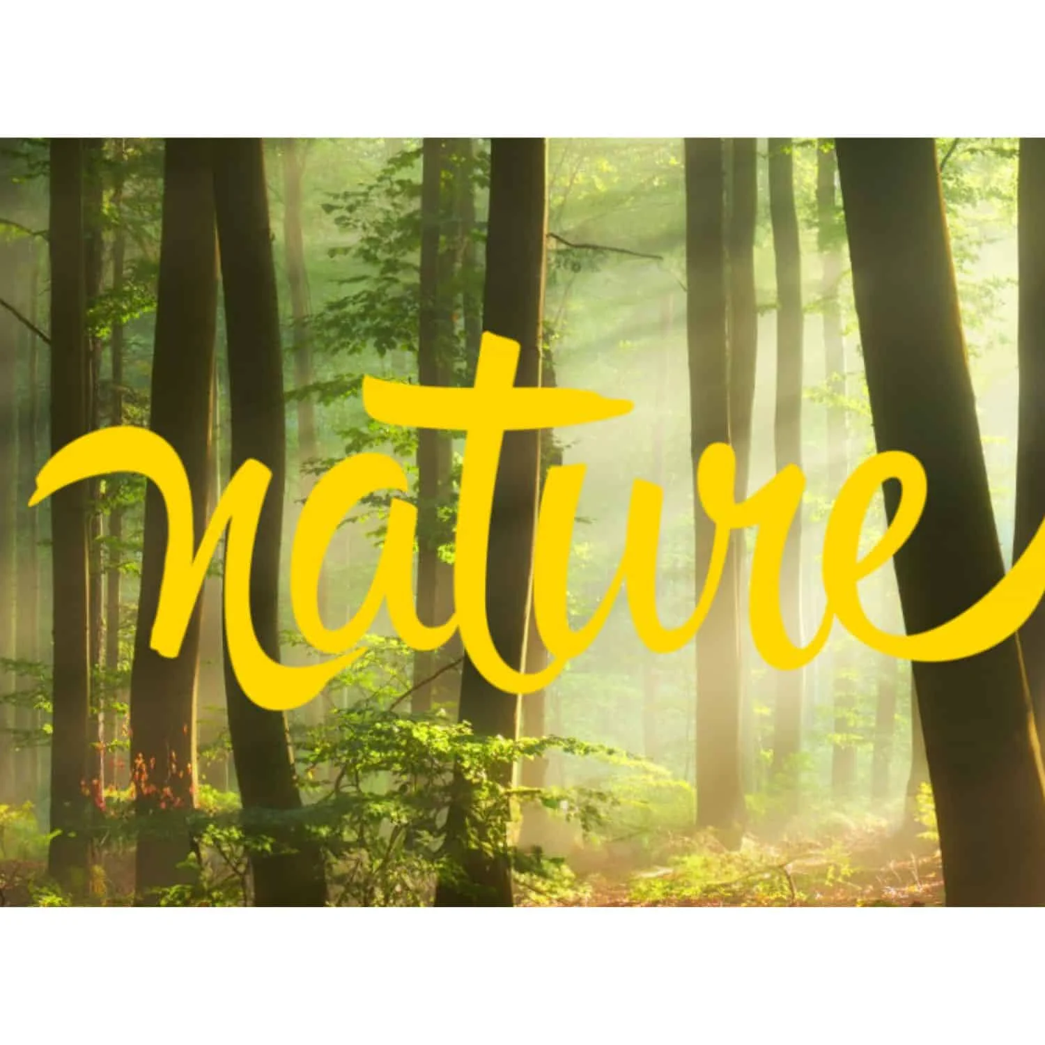Nature Lamb Natural Grain Free Holistic - Image 2