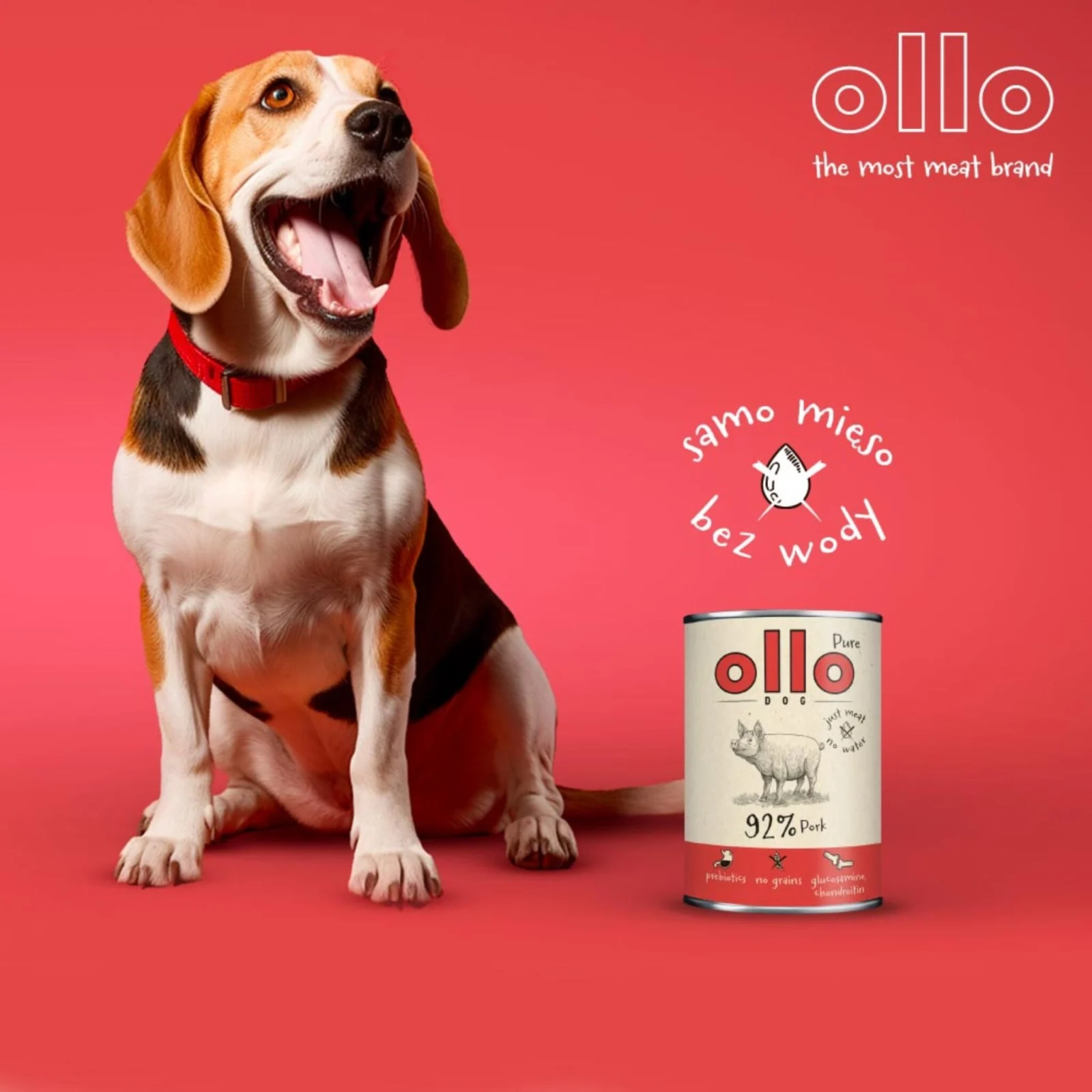 Ollo Pure Pork – Wieprzowina - Image 2