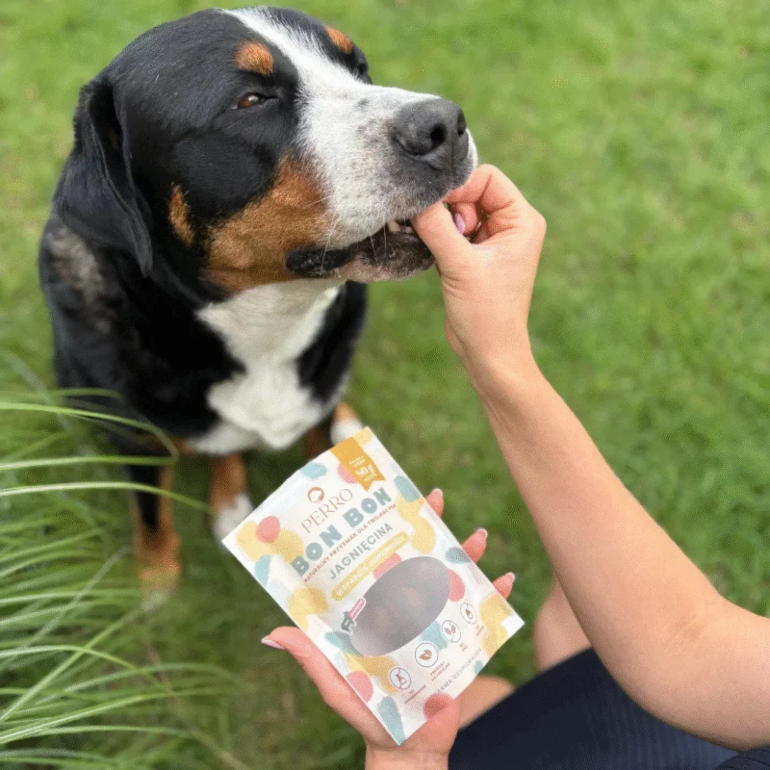 Perro Bon Bon Wsparcie Odporności Jagnięcina 80g - Image 2
