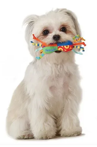 Petstages Gryzak chłodzący z supełkami mini PS139 - Image 2