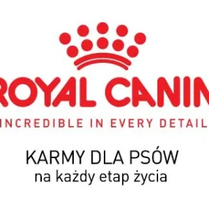 Karma dla dorosłego psa