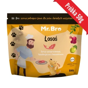 Próbka Mr. Bro Łosoś Sucha Karma Dla Psów Dorosłych 50g
