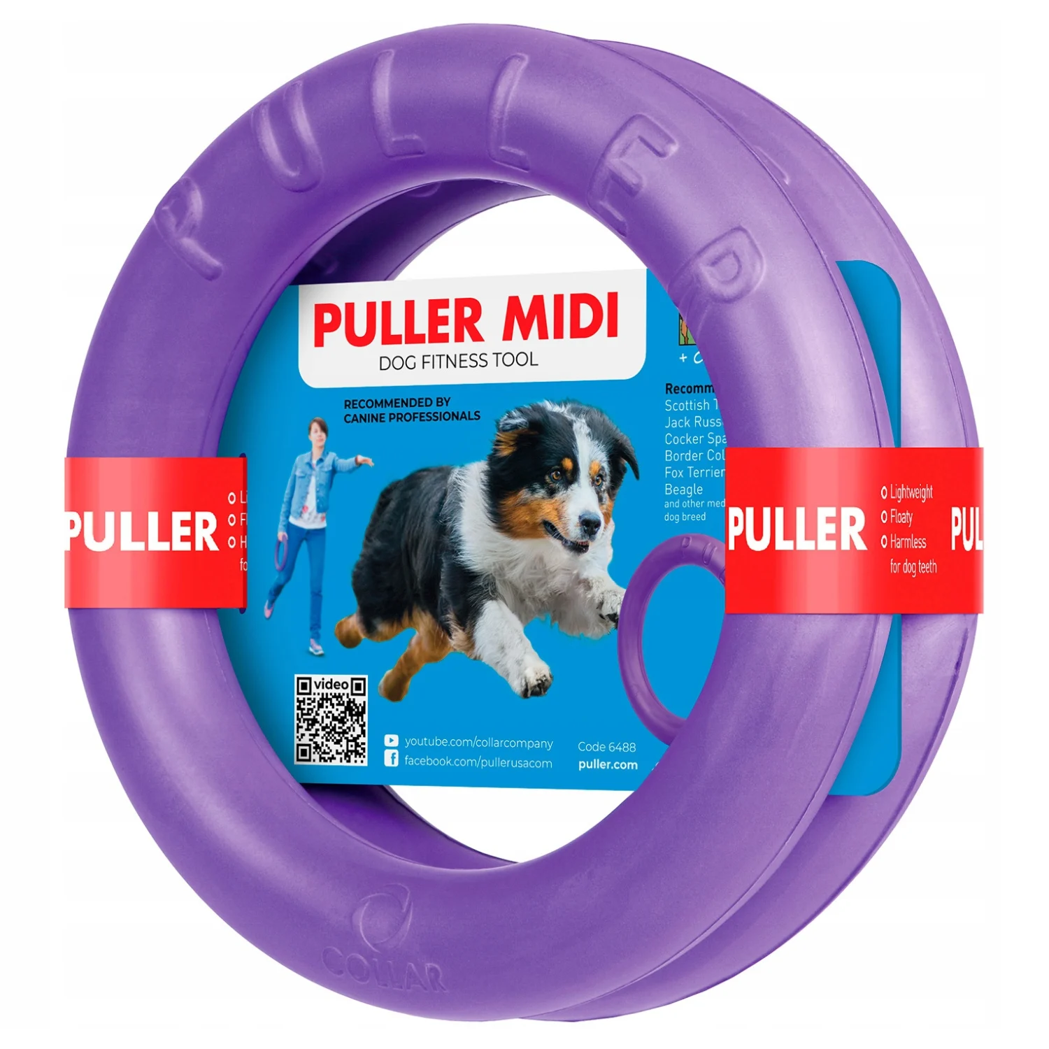 Puller Dog Fitness Tull Ringo Dla Psa