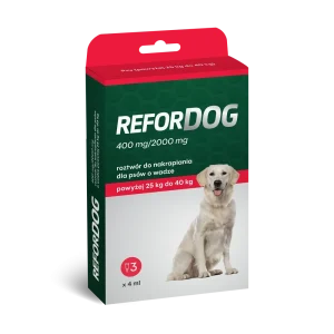 refordog
