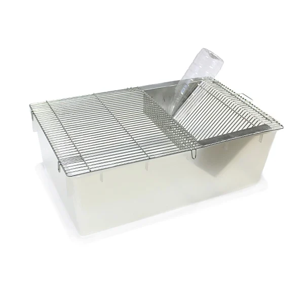 RodentBox L – pojemnik hodowlany dla gryzoni 58x36x20 cm