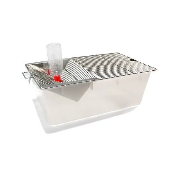 RodentBox M – pojemnik hodowlany dla gryzoni 43x27x16 cm