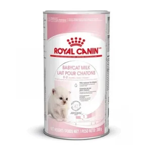 Royal Canin Babycat Milk ► Zamów teraz ✔