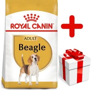 ROYAL CANIN Beagle Adult 12kg karma sucha dla psów dorosłych rasy beagle + niespodzianka dla psa GRATIS!