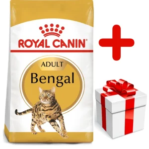 ROYAL CANIN Bengal Adult 10kg karma sucha dla kotów dorosłych rasy bengal + niespodzianka dla kota GRATIS!