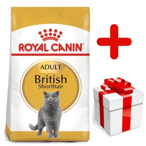 ROYAL CANIN British Shorthair 10kg karma sucha dla kotów dorosłych rasy brytyjski krótkowłosy + niespodzianka dla kota GRATIS!