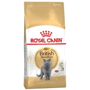Royal Canin British Shorthair Adult ► Zamów teraz ✔