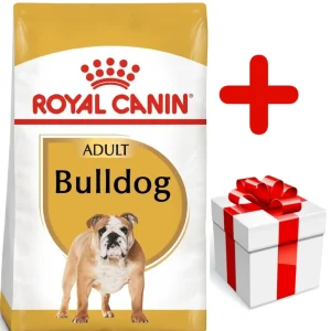 ROYAL CANIN Bulldog Adult 12kg karma sucha dla psów dorosłych rasy bulldog + niespodzianka dla psa GRATIS!