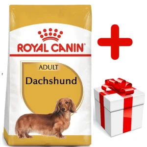 ROYAL CANIN Dachshund 7,5kg karma sucha dla psów dorosłych rasy jamnik + niespodzianka dla psa GRATIS!